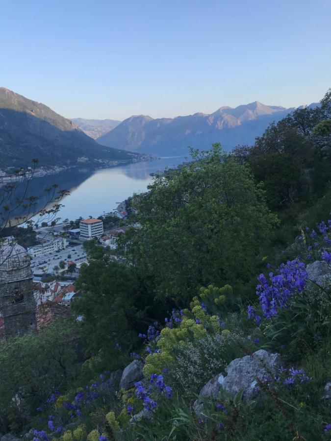 Romantic Rooftop View Hideaway- Old Town Nr 404 Apartment Kotor Bagian luar foto